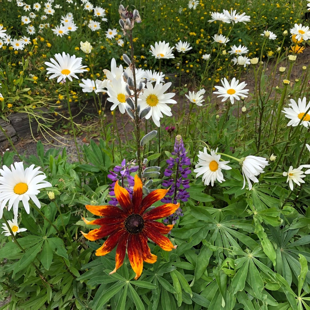 Meet your Posher, Angie